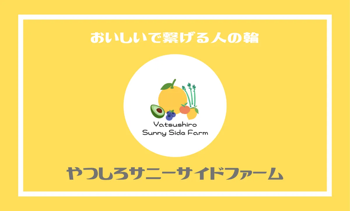 デザイン